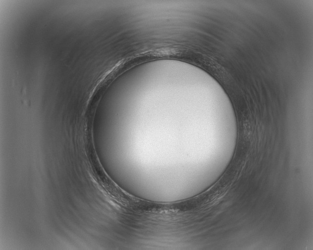 X0000057090304200509090946