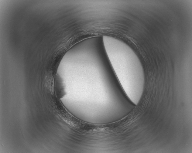 X0000057090307200509090946