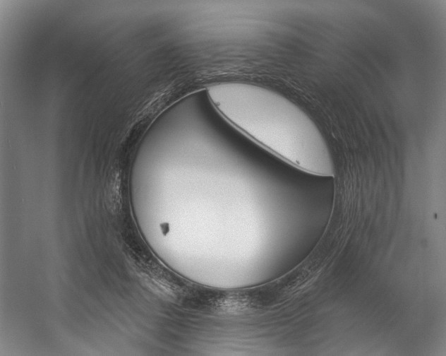 X0000057090308200509090946