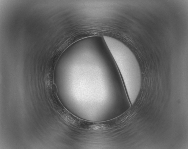 X0000057090317200509090945