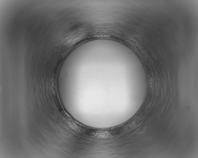 X0000057090322200509090945