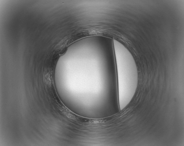 X0000057090329200509090945