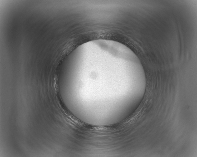 X0000057090336200509090945