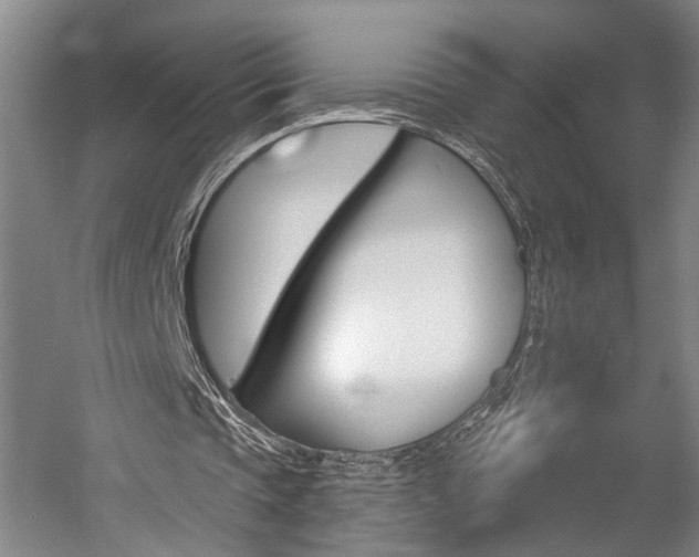 X0000057090337200509090944