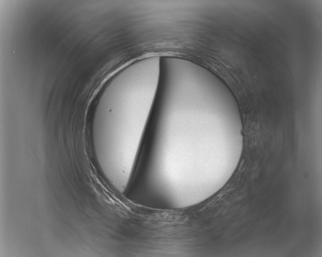 X0000057090338200509090944