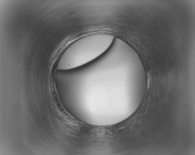 X0000057090339200509090944