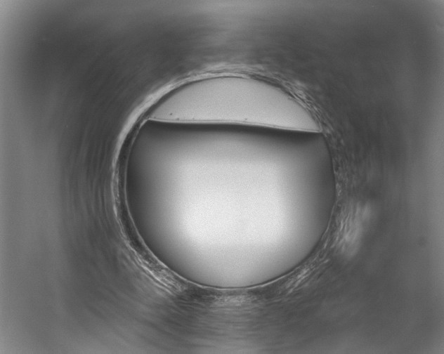 X0000057090342200509090944