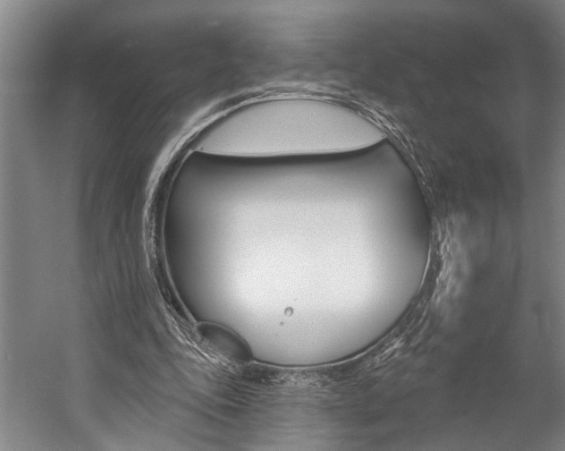 X0000057090343200509090944