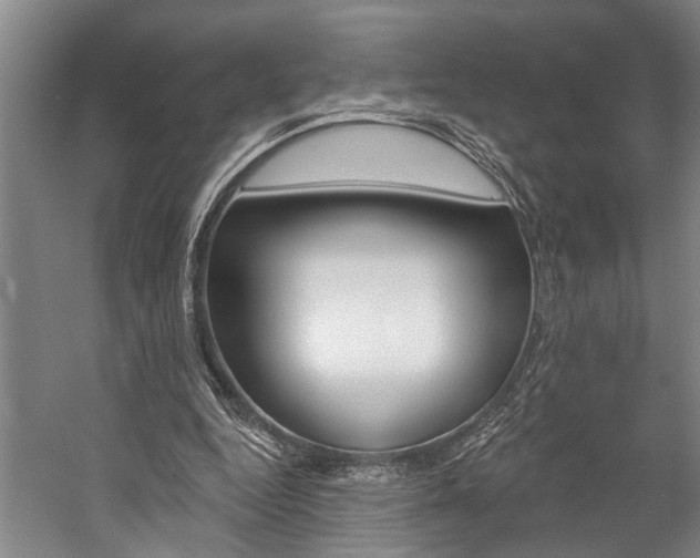 X0000057090344200509090944