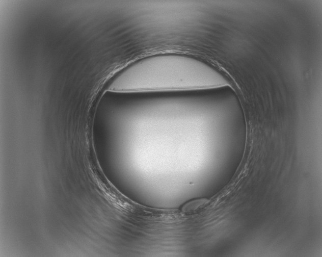 X0000057090345200509090944