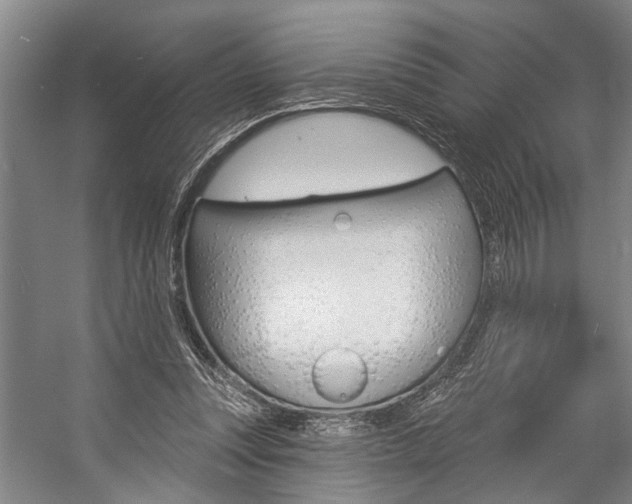 X0000057090351200509090945