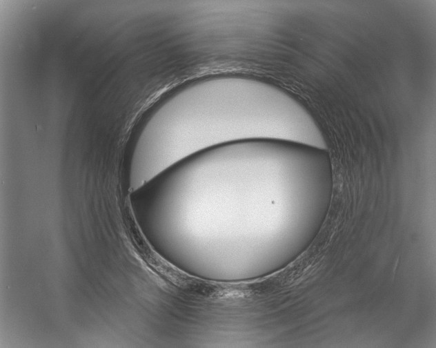 X0000057090352200509090945