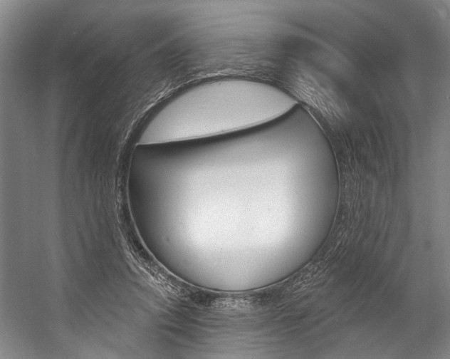 X0000057090354200509090945