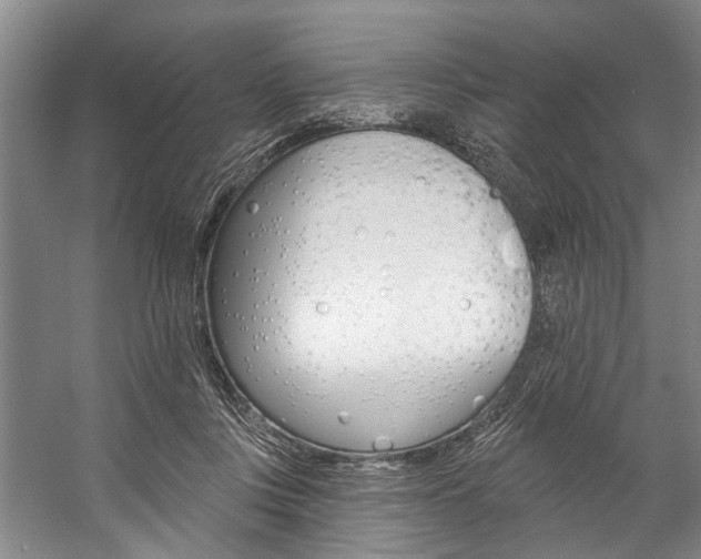 X0000057090359200509090945