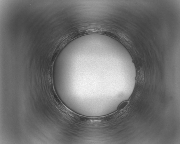 X0000057090361200509090945