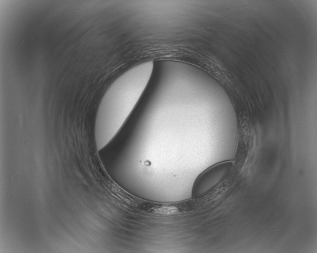 X0000057090374200509090945