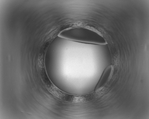 X0000057090376200509090945