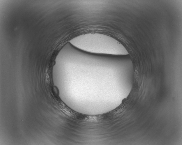 X0000057090381200509090945