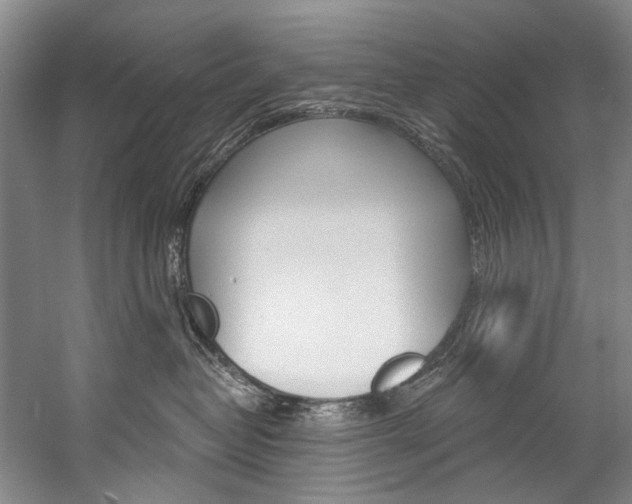 X0000057090382200509090945