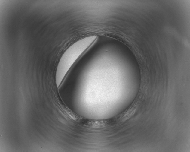 X0000057090384200509090945