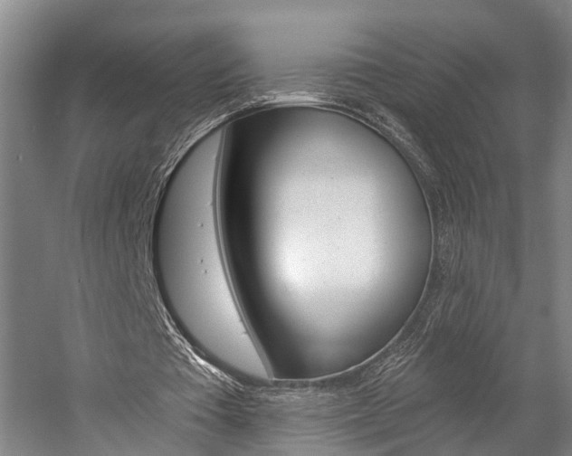 X0000057090385200509090944