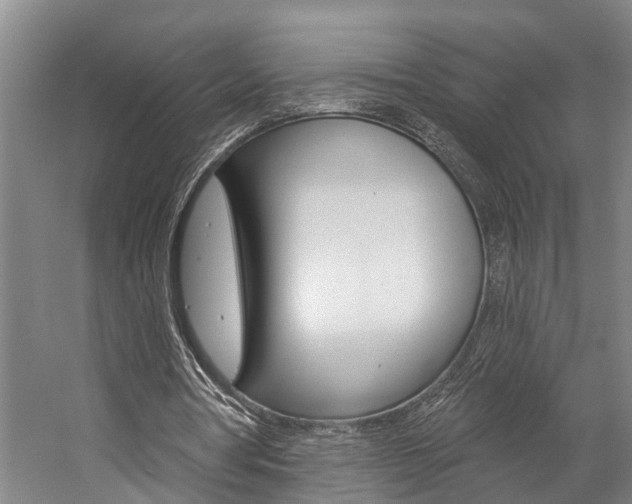 X0000057090386200509090944