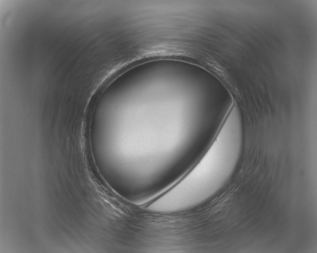 X0000057090387200509090944