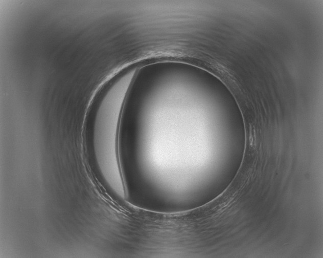 X0000057090388200509090944