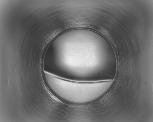 X0000057090389200509090944