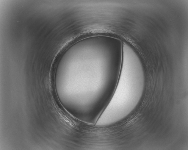 X0000057090391200509090944