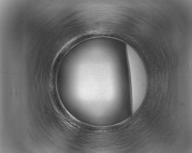 X0000057090392200509090944