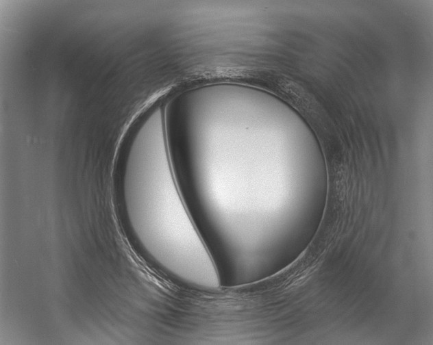 X0000057090395200509090944