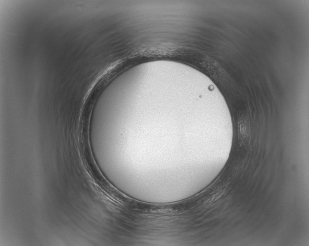 X0000057090396200509090944