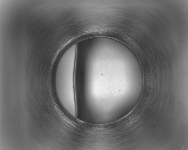 X0000057090399200509090944