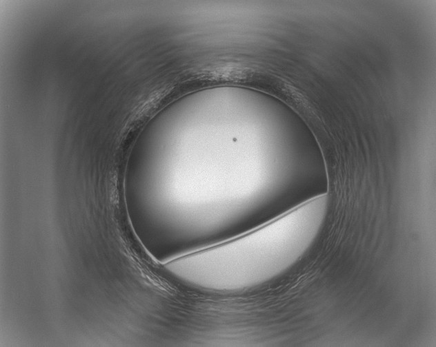 X0000057090403200509090944