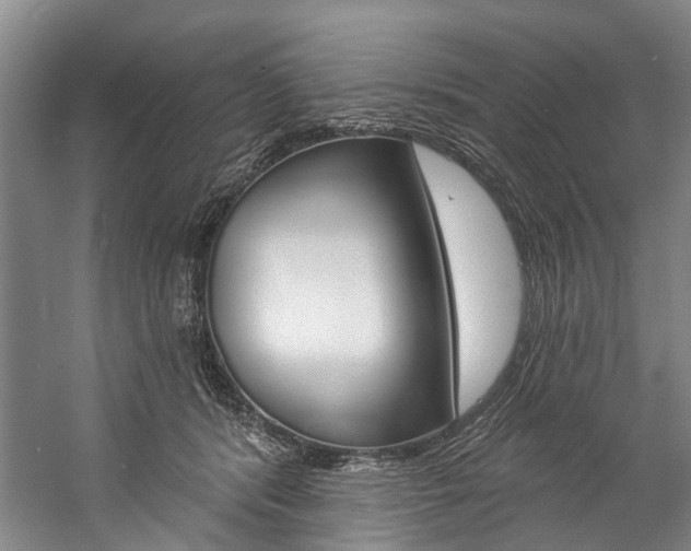 X0000057090416200509090944