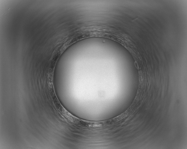 X0000057090419200509090944