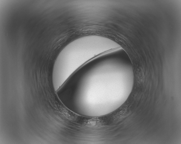 X0000057090420200509090944