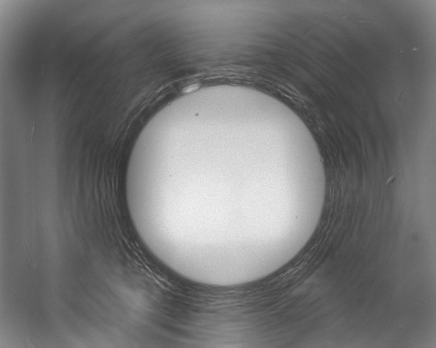 X0000057090421200509090944