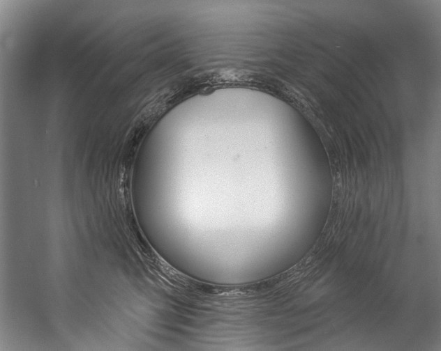 X0000057090423200509090944