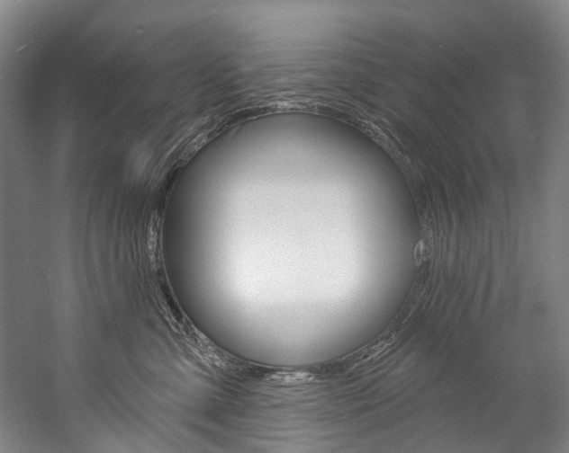 X0000057090427200509090944