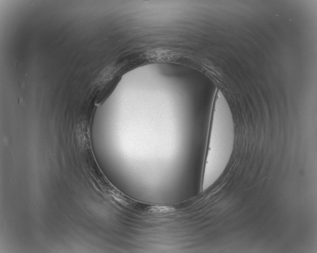 X0000057090429200509090944