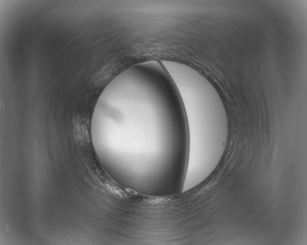 X0000057090432200509090943