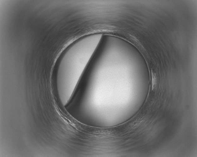 X0000057090435200509090943