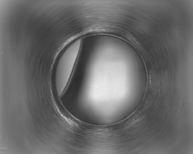 X0000057090438200509090943