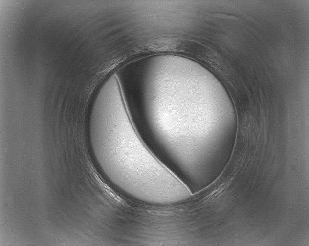 X0000057090441200509090943