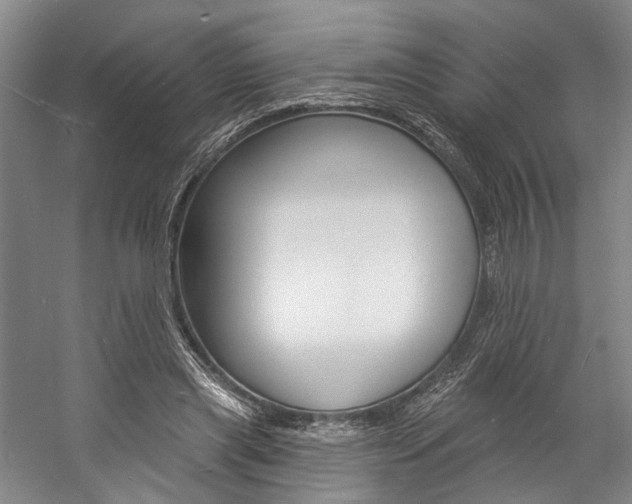 X0000057090445200509090943