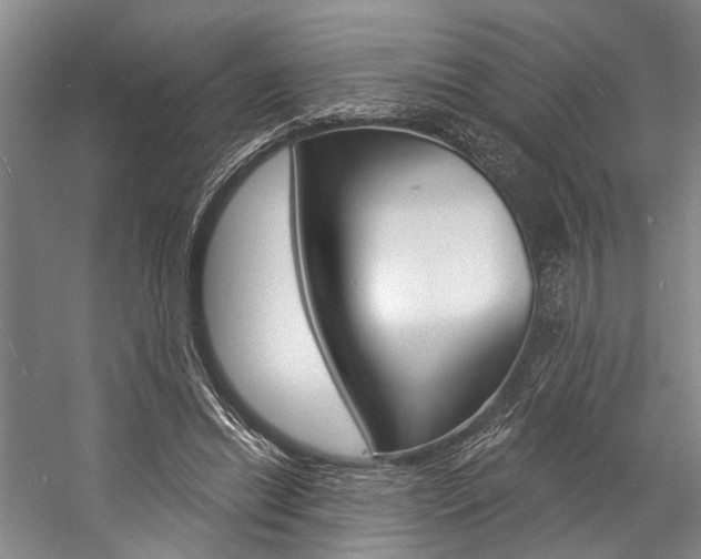 X0000057090446200509090943