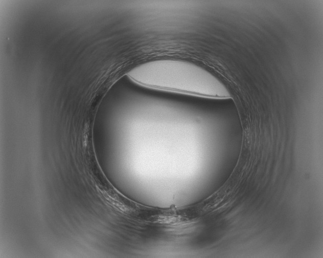 X0000057090458200509090943