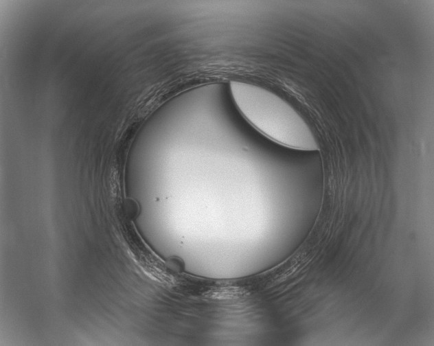 X0000057090459200509090943